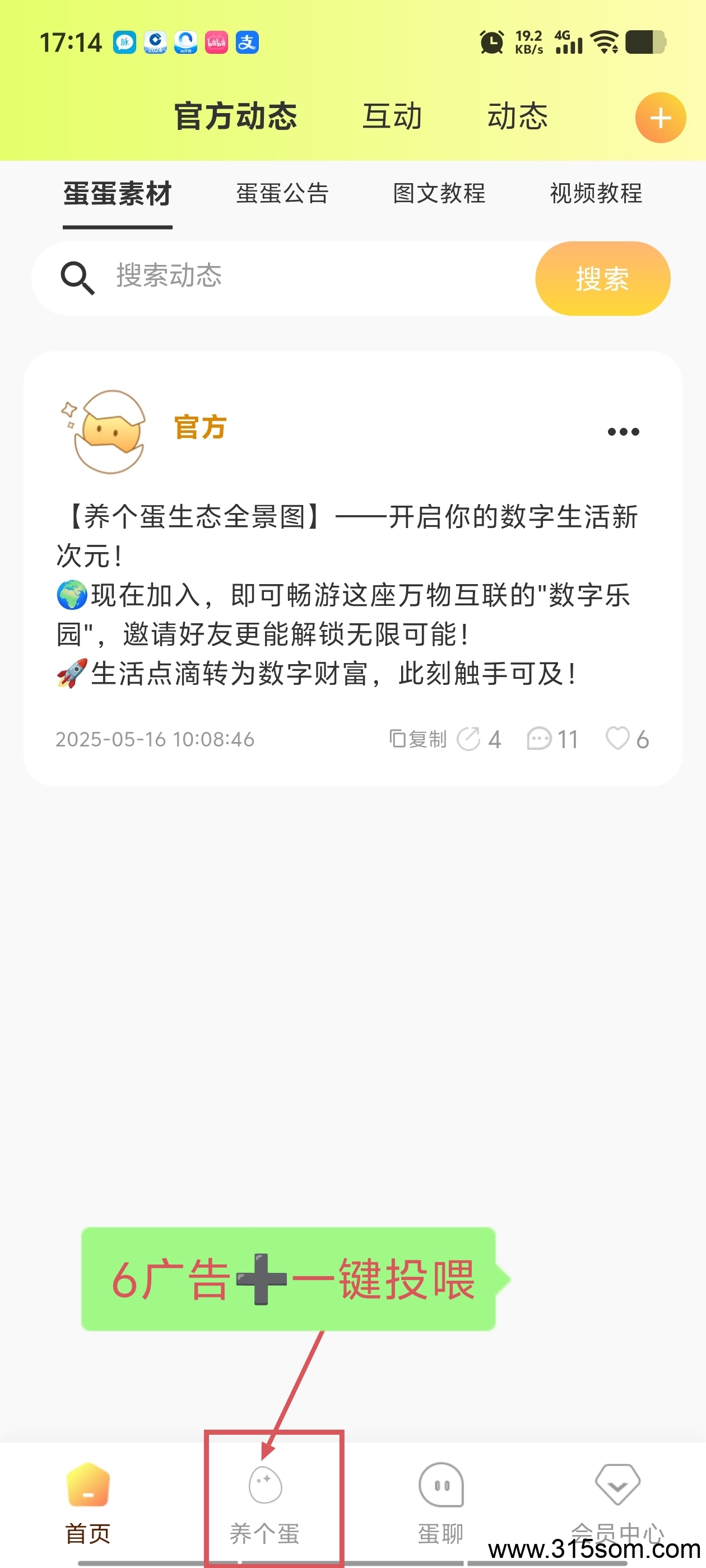 首码养个蛋，正式上线对接散户有扶持