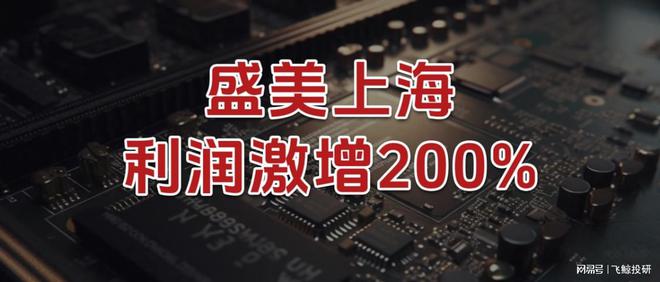 利润激增200%，盛美上海，闷声干大事！