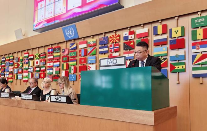 金正大缓控释肥技术出海 中国“膜”法闪耀联合国粮农组织GSP大会