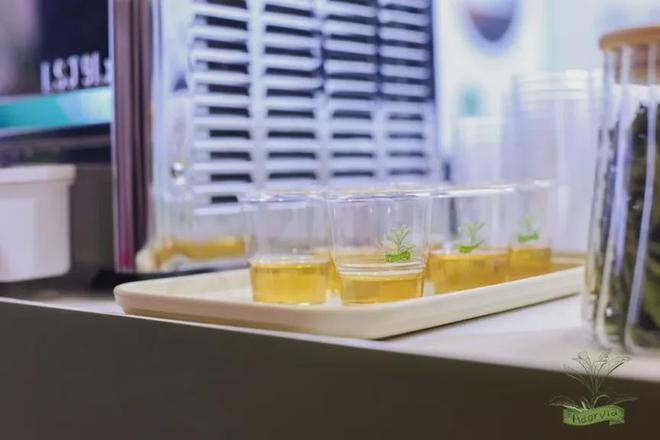 对话弈柯糖：从甜菊糖苷开始，减糖风口上还有哪些新机会