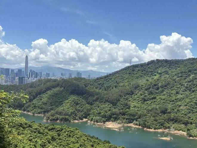 中行系险企，逆水行舟