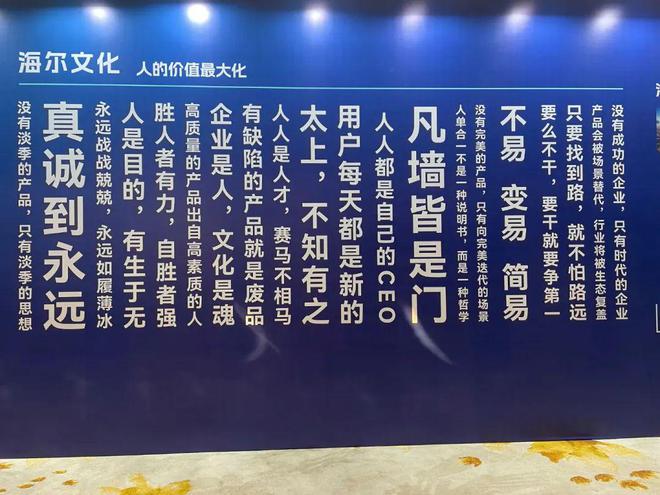 海尔，砸砸砸!