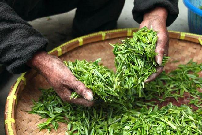 新中式茶啤：给微醺经济“提神”