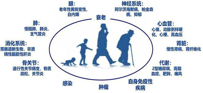 当我们讨论“抗衰”时，究竟在讨论什么？