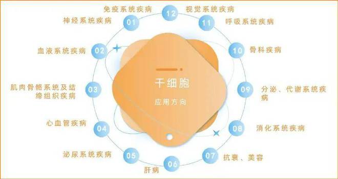 当我们讨论“抗衰”时，究竟在讨论什么？
