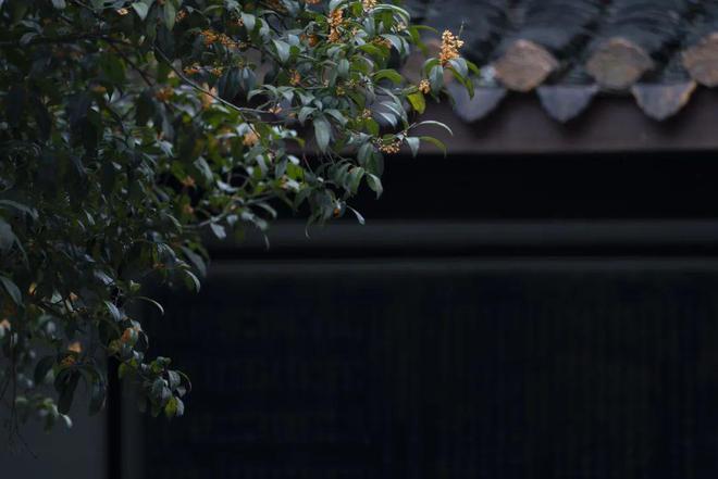 本轮“即时零售战争”有何不同？