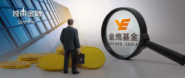 东旭集团财务造假被重罚，金鹰基金实控人兼董事被终身市场禁入！