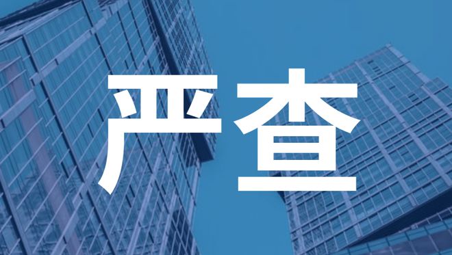 财务造假！他们被顶格处罚！