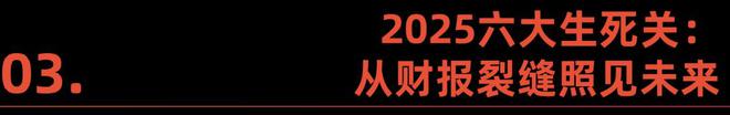 财报里的十大跨境巨头：出海增长的逻辑变了