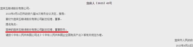 宜宾银行：蒋琳执掌行长，曾任“副行长”履历为何不提？