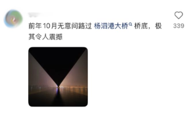 武汉中式审美大桥被改成艳俗KTV还收费？国内景点的夜店风灯光秀看得打工人眼前一黑