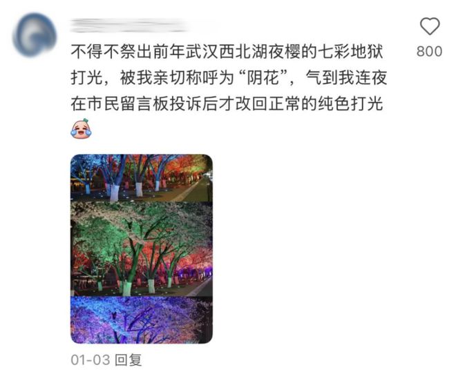 武汉中式审美大桥被改成艳俗KTV还收费？国内景点的夜店风灯光秀看得打工人眼前一黑