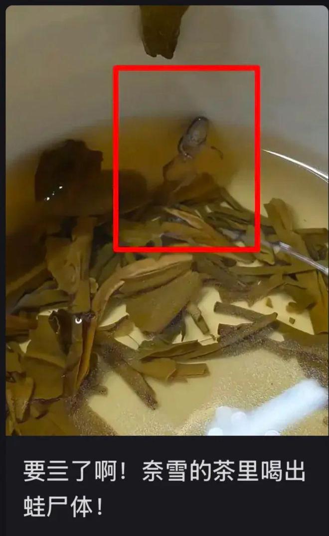 茶里喝出青蛙？奈雪称“要赔偿就删帖”