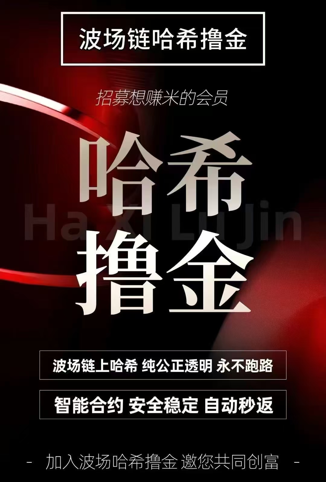 哈希单双，2025火爆朋友圈，对接实力团队长