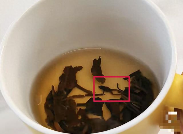 知名茶饮被曝喝出青蛙？当事人：太恶心了