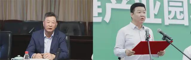 大老板欠债59亿还不上，百年老字号张小泉含泪被法拍