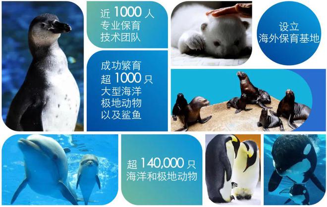 100亿资产的海洋公园，要换浙江老板了