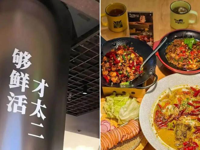 餐饮大单品的衰退危机